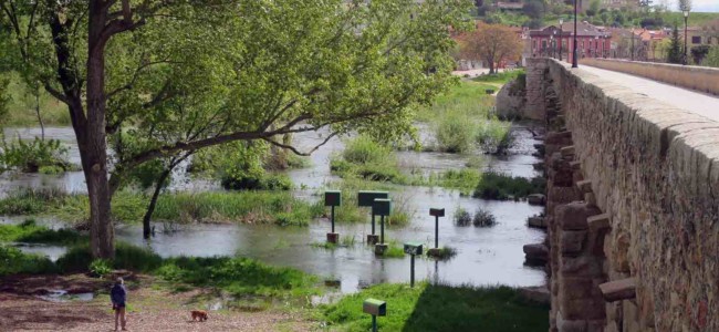 rio tormes desbordado lunes aguas coronavirus puente romano (2)