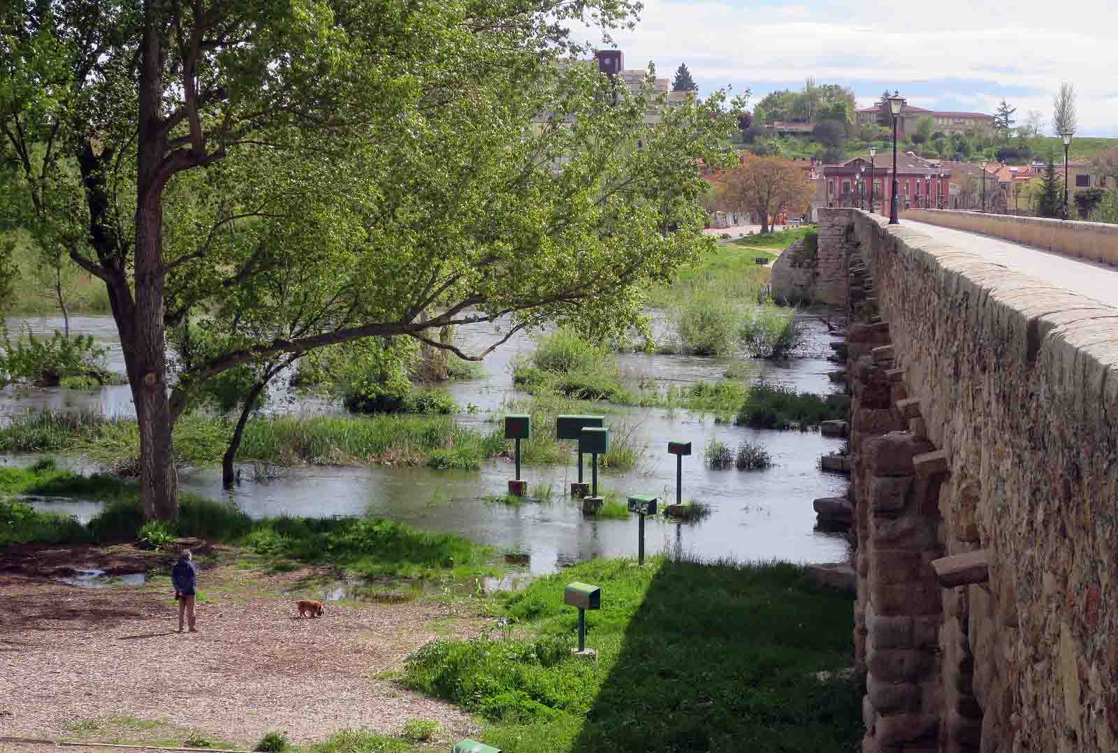 rio tormes desbordado lunes aguas coronavirus puente romano (2)