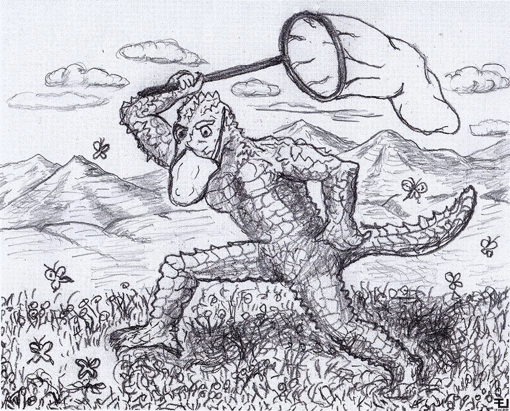 "Cazador de mariposas" (Dibujo de E. Jiménez)