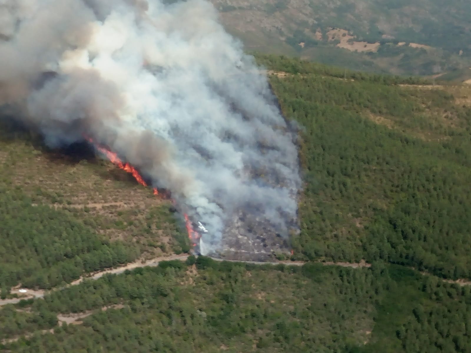 Incendio forestal en Valdelageve (1)