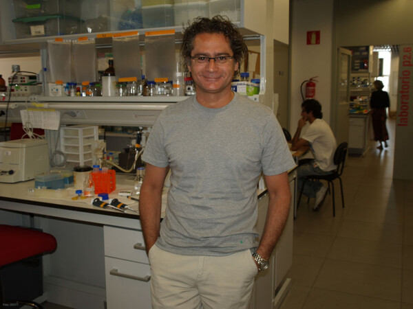 Juan Pedro Bolaños, catedrático de Bioquímica y Biología Molecular de la Universidad de Salamanca en el IBFG.