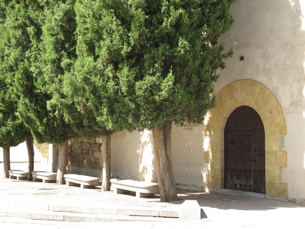 patrimonio turismo convento dueñas (4)