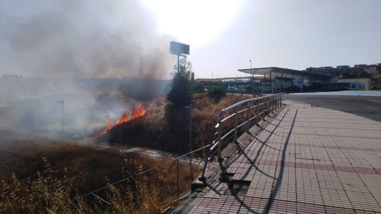 Incendio en las proximidades de la gasolinera de Aldeatejada.