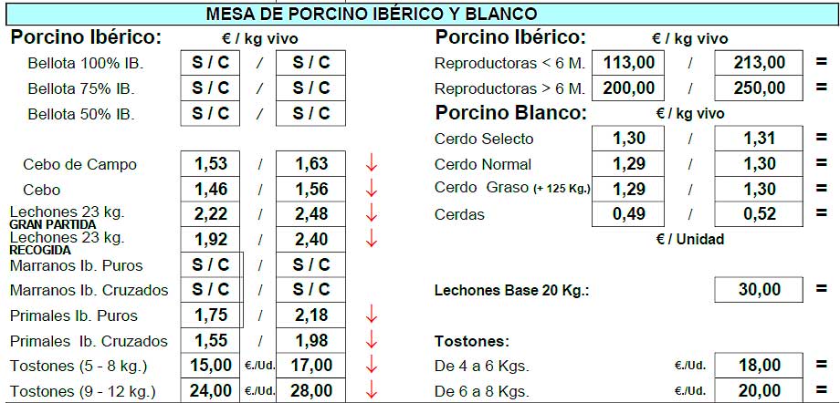 Cotización Ibérico