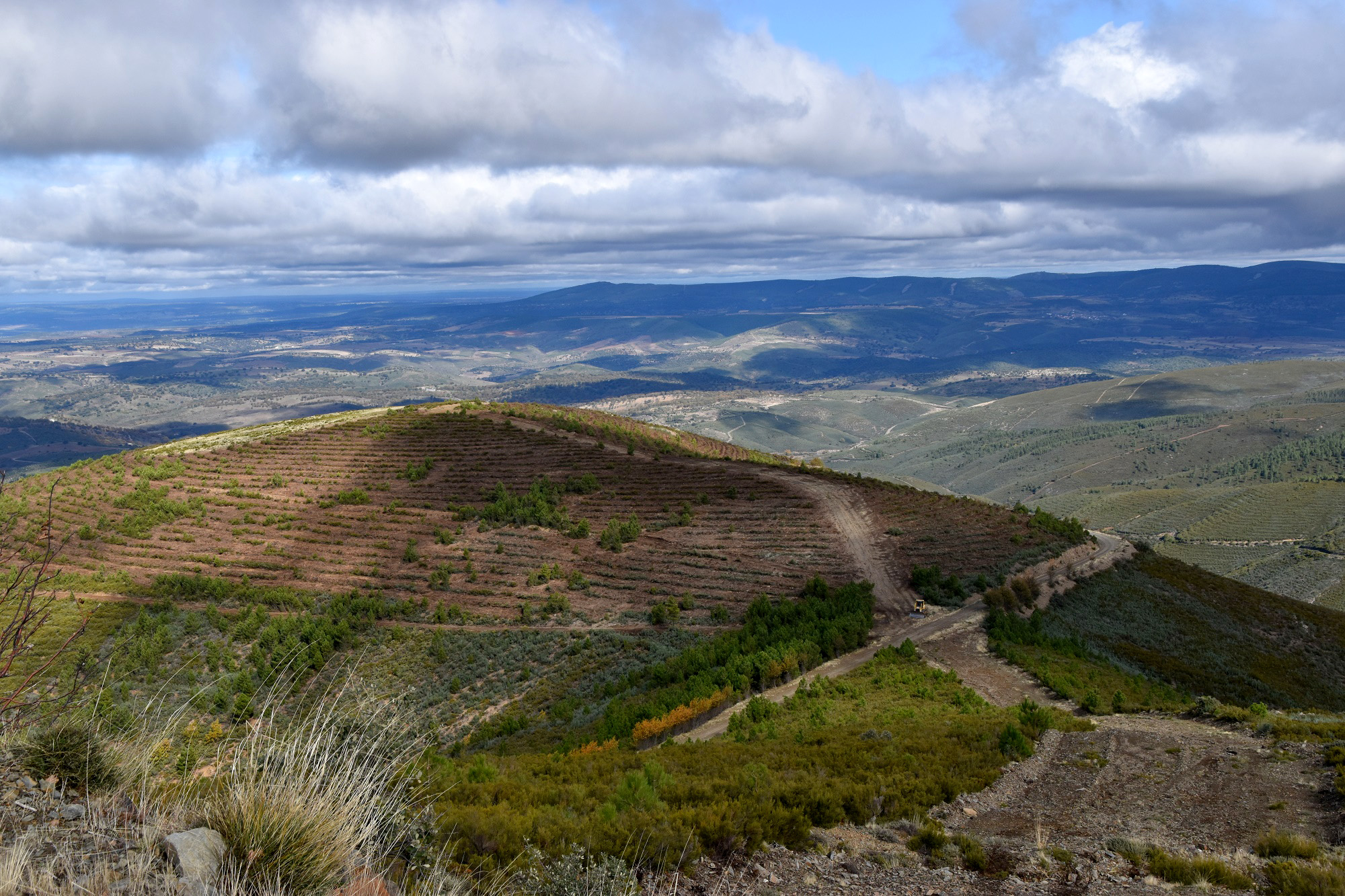 JCyL / ICAL . Zona de labores de reforestación del proyecto 'El Bosque de Red Eléctrica' en la Sierra de Gata (Salamanca)