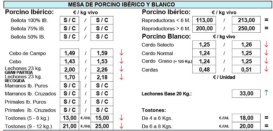 Precios Ibérico