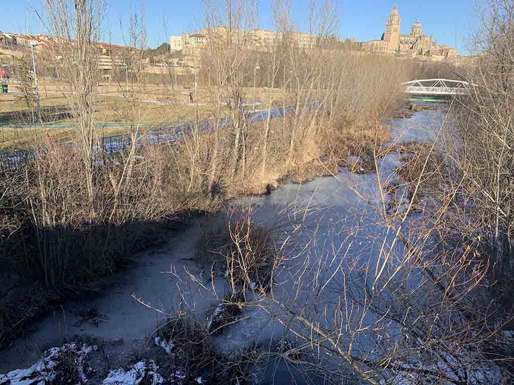 El arroyo del Zurguén está helado después de una semana de frío extremo en Salamanca.