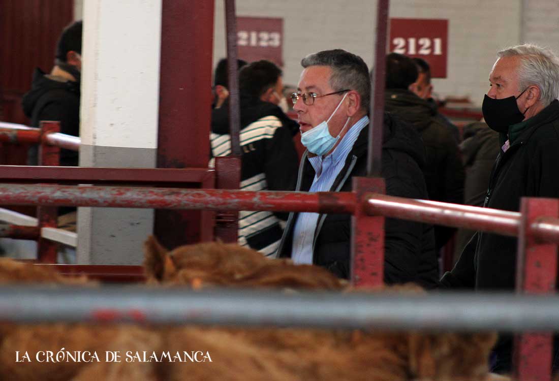 Mercado Ganado