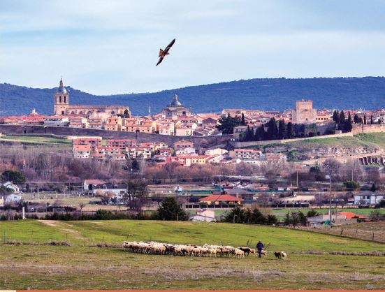 ciudad rodrigo