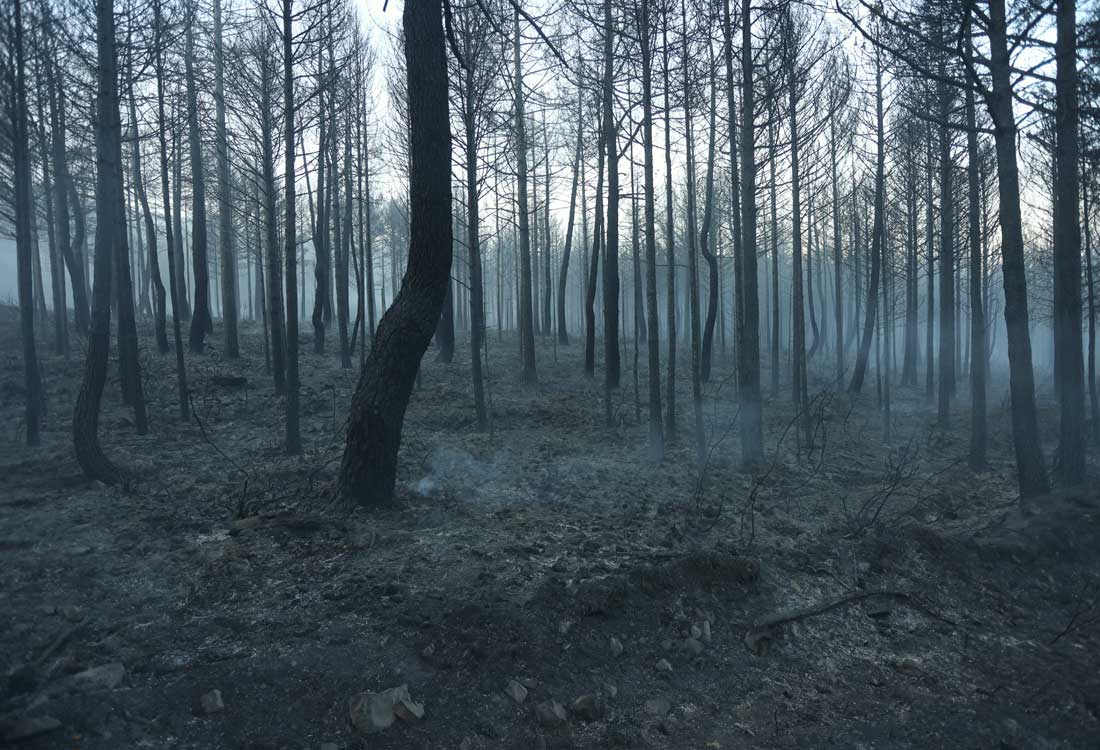 Incendio Serradilla Arroyo