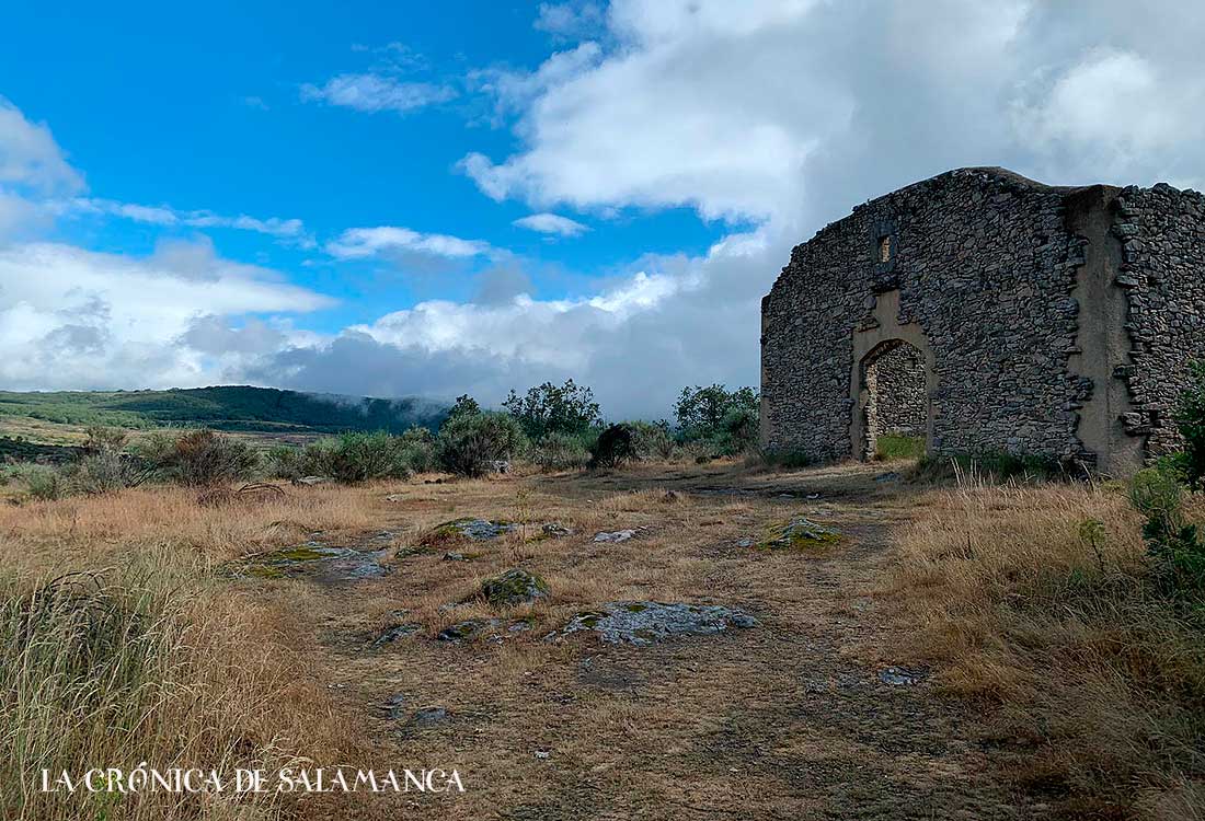 Camino de las Raíces