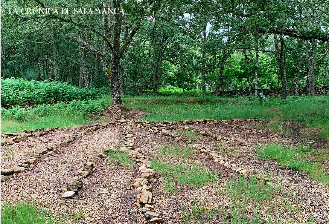 Camino de las Raíces