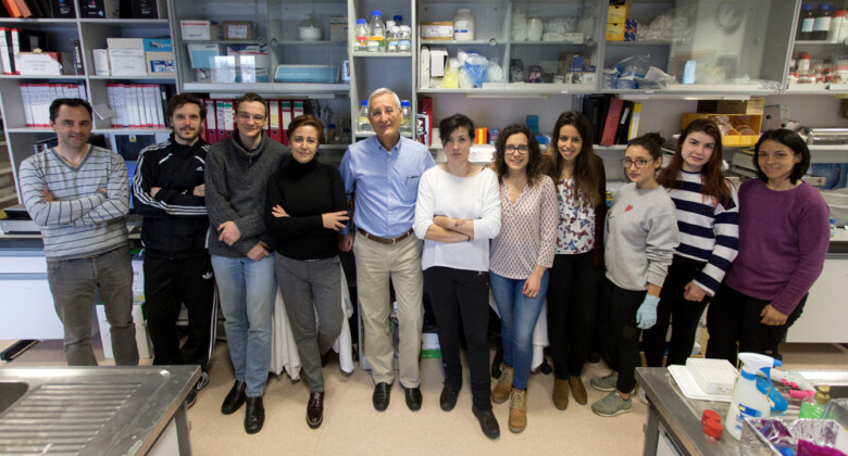 El equipo de investigadores del profesor Eugenio Santos, del Centro de Investigación del Cáncer.