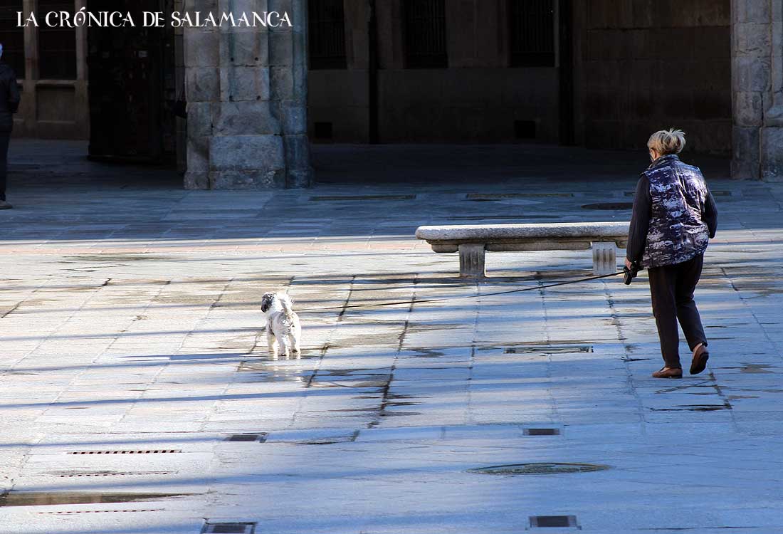 Plaza Mayor