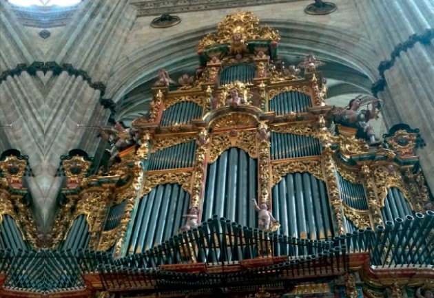 catedral nueva organo
