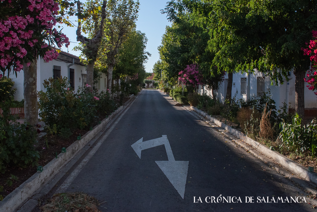 Una de las calles del barrio de La Vega con sus jardines cuidados y florecidos.