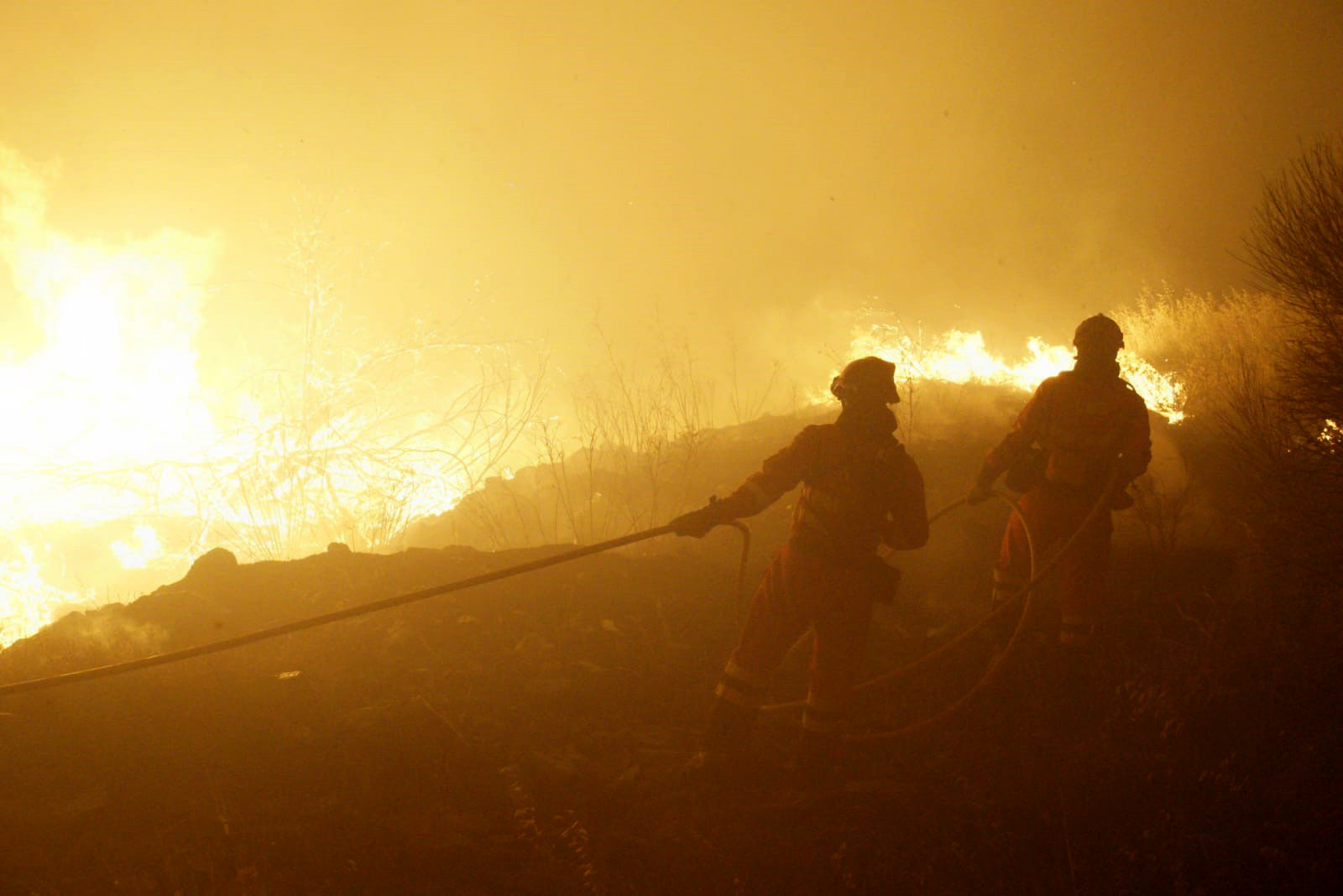 Incendio forestal en El Tiemblo (Ávila)
