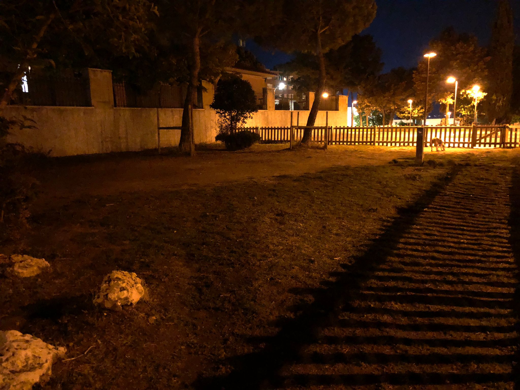 El pipicán del parque Isidro García Barrado, ubicado en la calle Lugo, por la noche.