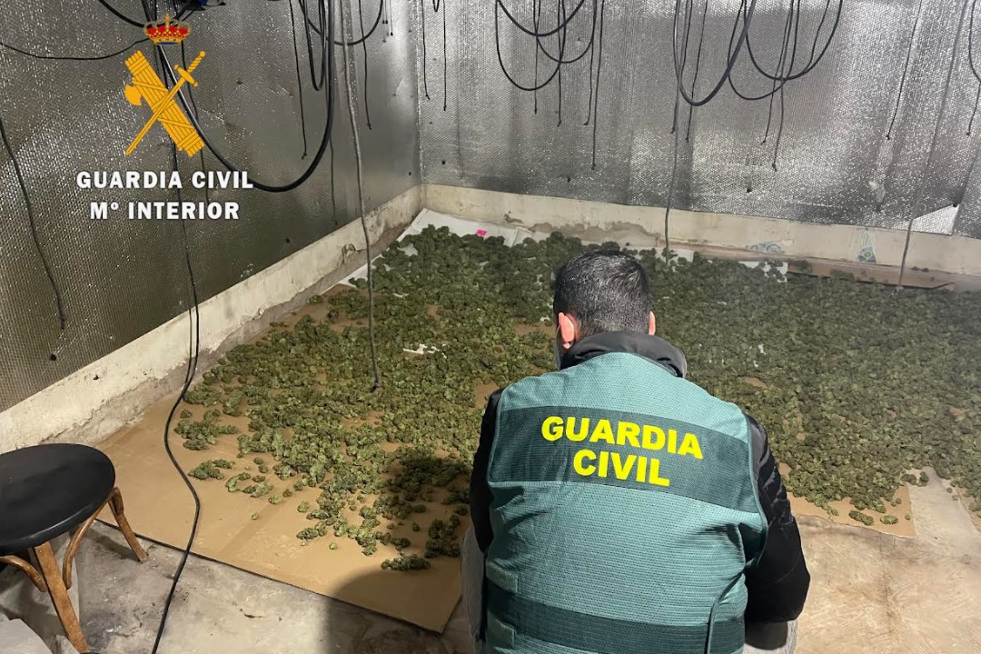 marihuana sancti spiritus guardia civil