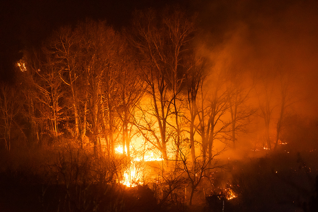 Incendio forestal en las inmediaciones de la localidad de Monsagro(Salamanca)