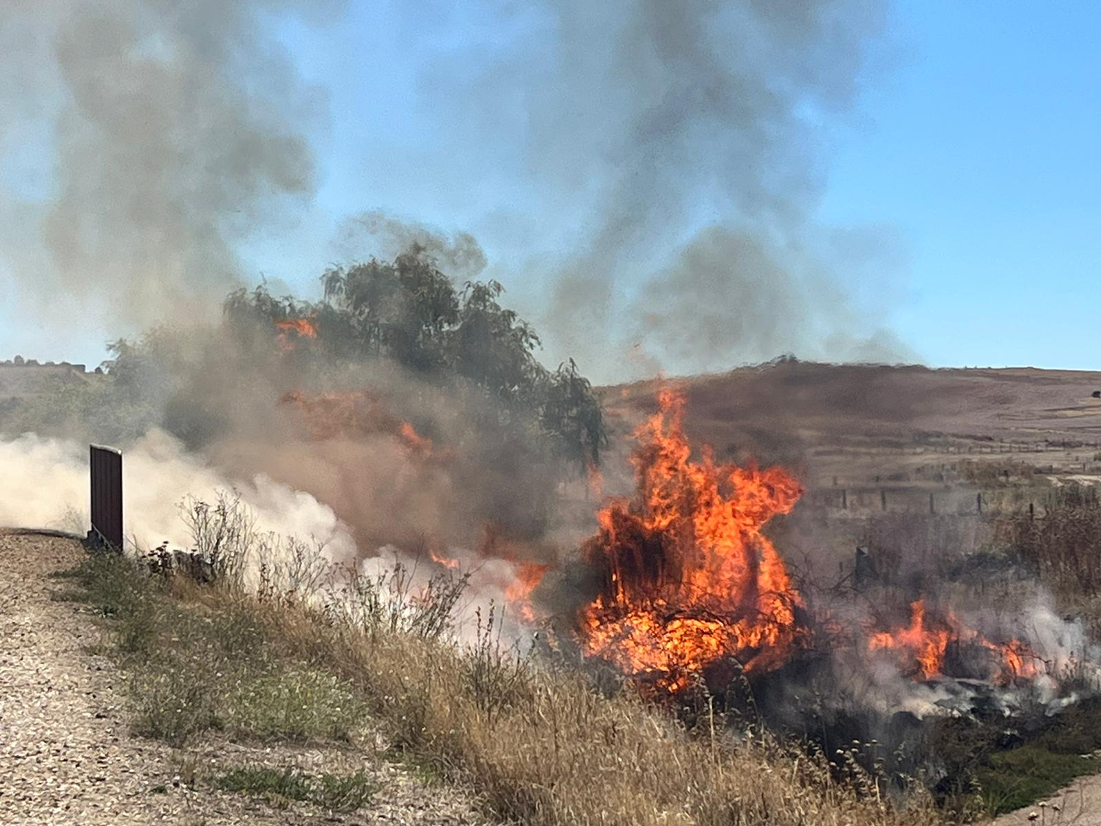 Fuego en la Vía Verde de Carbajosa.