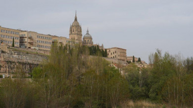 La facultad de Ciencias y la Catedral vistas desde el Puente Romano. Fotografía. Comité Antinuclear y Ecologista de Salamanca.