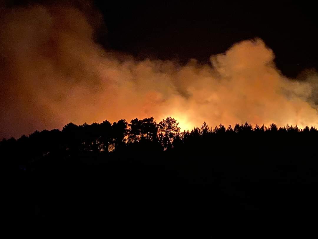 La Junta de Extremadura decreta el nivel 2 del incendio forestal en Pinofranqueado. (2)