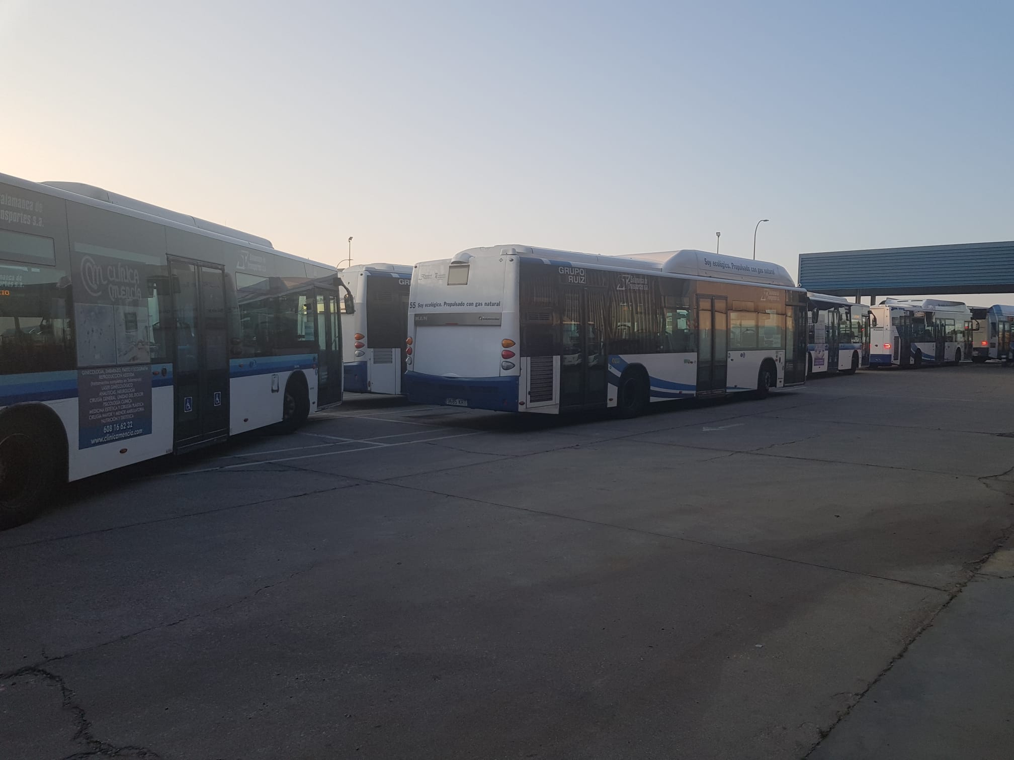 Los autobuses de Salamanca en las cocheras, solo circulan los servicios mínimos.