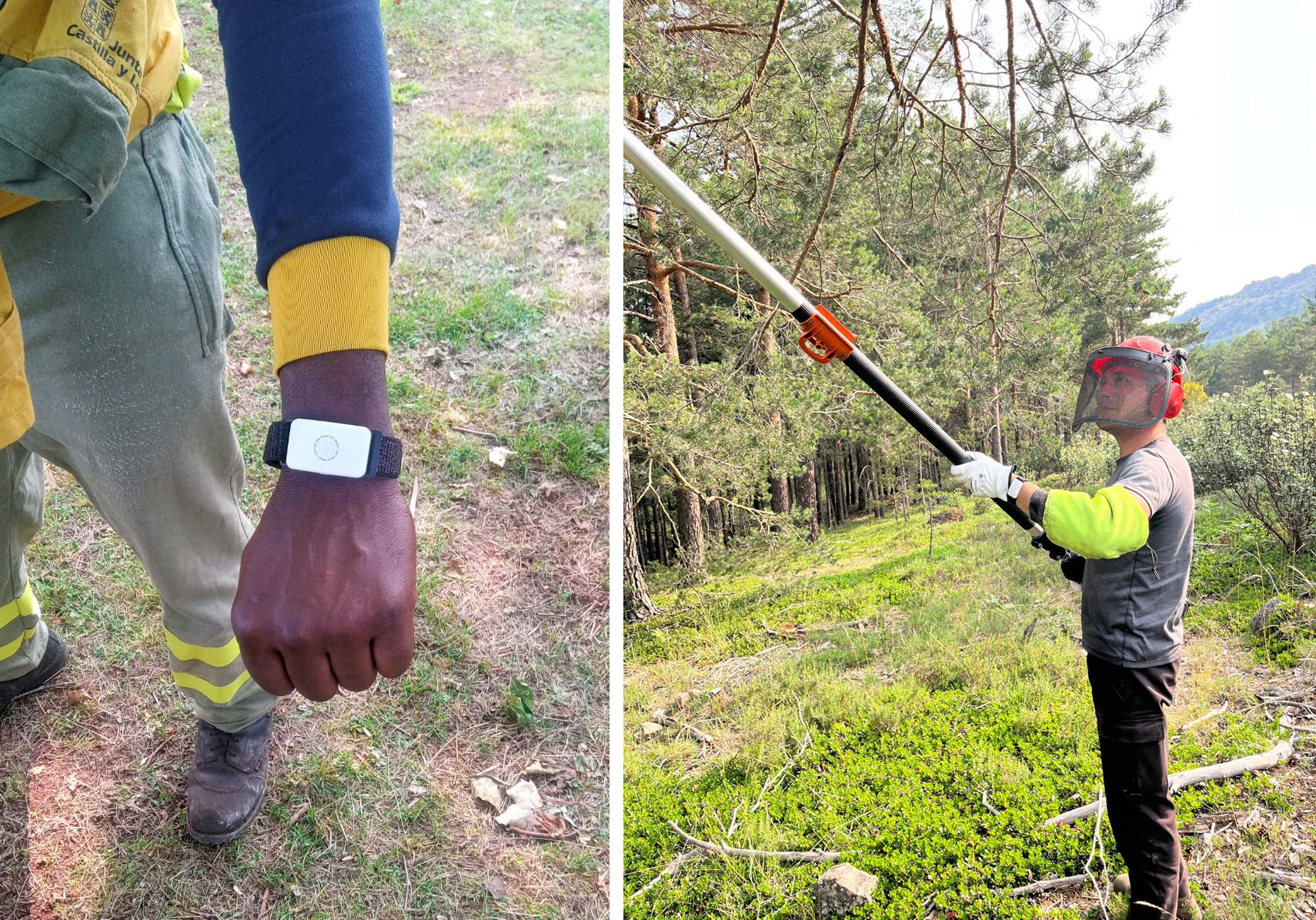 Talher prueba en Castilla y León una pulsera para evitar golpes de calor en sus trabajadores forestales