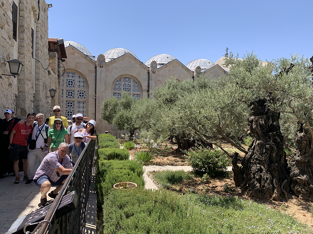 Peregrinos salmantinos en el Huerto de los Olivos, en Jerusalén.