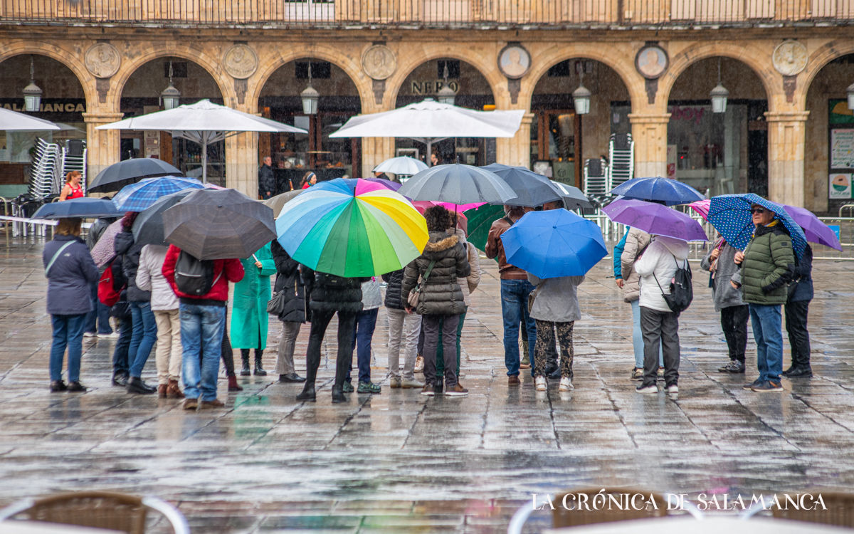 paraguas, lluvia, temporal, turistas